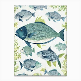 Fishes Of The Sea Canvas Print