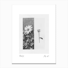 Daisy Botanical Collage 8 Canvas Print