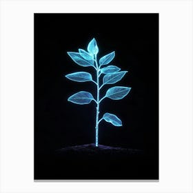 Neon Plant 7 Canvas Print