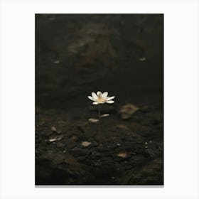 Lotus Flower 31 Canvas Print