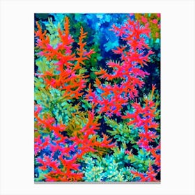 Acropora Plana Vibrant Painting Canvas Print