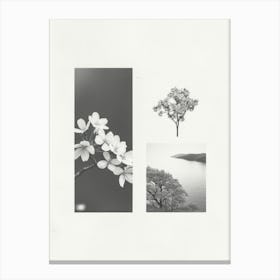 Cherry Blossom Flower Photo Collage 1 Canvas Print