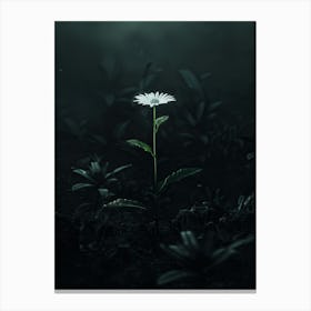 Dark Flower In The Dark Canvas Print