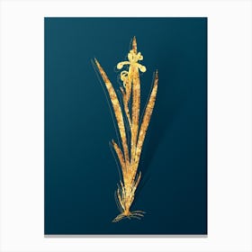 Vintage Yellow Banded Iris Botanical in Gold on Teal Blue n.0235 Canvas Print