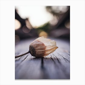 Ephemeral Beauty
A delicate, close-up shot of a dried flower bud with translucent petals, capturing the beauty of nature's impermanence.
Ideal for a bedroom or relaxing space, adding a touch of calm and reflection. Canvas Print