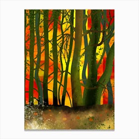 Mysterious Forest Canvas Print