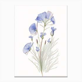 Flax Floral Quentin Blake Inspired Illustration 1 Flower Canvas Print