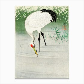 Fishing Crane In Shallow Water (1900 1945), Ohara Koson Canvas Print
