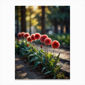 Dahlias Canvas Print