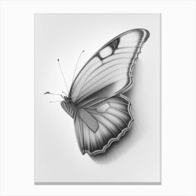 Butterfly On Rainbow Greyscale Sketch 1 Canvas Print