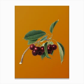 Vintage Cherry Botanical on Sunset Orange n.0589 Canvas Print