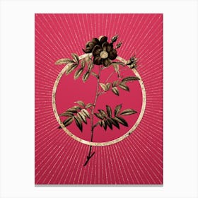 Gold Rosa Redutea Glauca Glitter Ring Botanical Art on Viva Magenta n.0060 Canvas Print