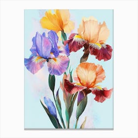 Oil Painting, Watercolor Flowers Iris Canvas Print