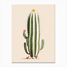 Trichocereus Cactus Marker Art 3 Canvas Print
