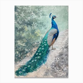 Peacock On A Path Watercolour Canvas Print