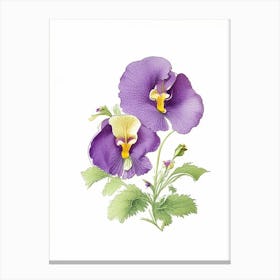 Pansy Floral Quentin Blake Inspired Illustration 5 Flower Canvas Print