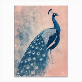 Pink & Blue Peacock Cyanotype Style 1 Canvas Print