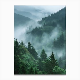 Misty Forest 3 Canvas Print