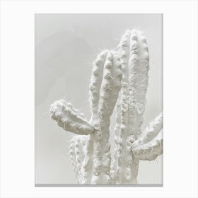 White Cactus Canvas Print