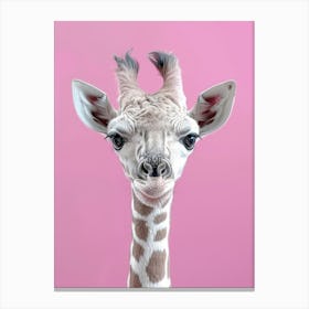 Giraffe 75 Canvas Print