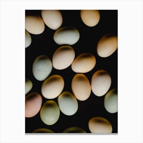 Eggs On A Black Background 1 Canvas Print