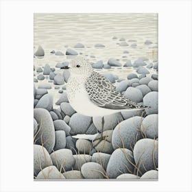 Winter Bird Painting Grey Plover 2 Canvas Print