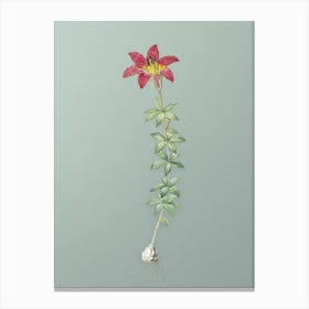 Vintage Wood Lily Botanical Art on Mint Green n.0639 Canvas Print