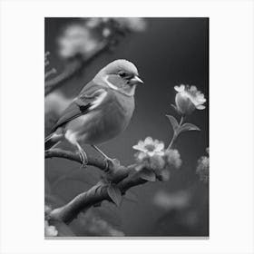 Bird 6 Canvas Print