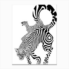 Zebra And Lion 1 Canvas Print