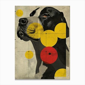 Dog With Circles Canvas Print