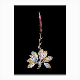 Stained Glass Blazing Star Mosaic Botanical Illustration on Black n.0099 Canvas Print