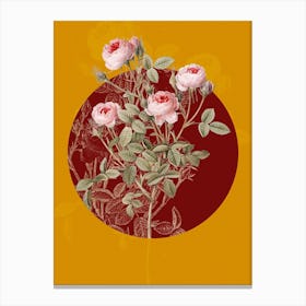 Vintage Botanical Burgundian Rose on Circle Red on Yellow n.0018 Canvas Print