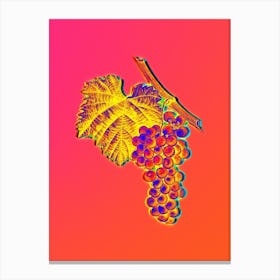 Neon Grape Vine Botanical in Hot Pink and Electric Blue n.0478 Canvas Print