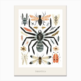 Colourful Insect Illustration Tarantula 6 Poster Canvas Print