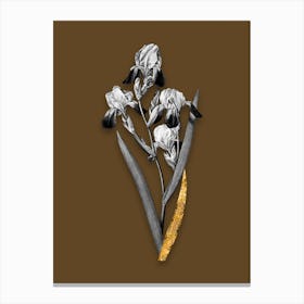 Vintage Elder Scented Iris Black and White Gold Leaf Floral Art on Coffee Brown n.0686 Canvas Print