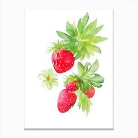 Wild Strawberries, Plant, Watercolour Canvas Print
