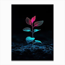 Young Plant In The Dark 5 Canvas Print