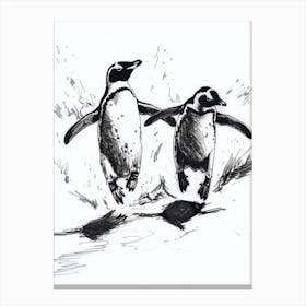 King Penguin Chasing Each Other 4 Canvas Print