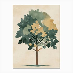 Chestnut Tree Minimal Japandi Illustration 3 Canvas Print