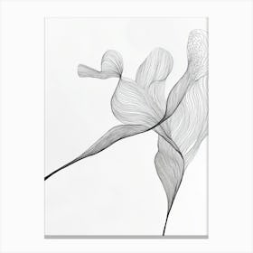 'Dance' Canvas Print