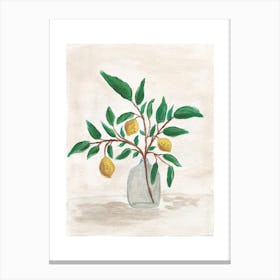 Lemons In A Vase Canvas Print