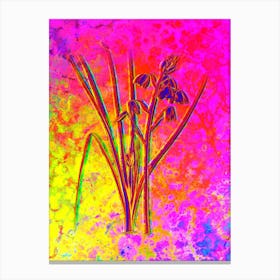 Slime Lily Botanical in Acid Neon Pink Green and Blue n.0065 Canvas Print
