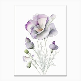 Eustoma Floral Quentin Blake Inspired Illustration 1 Flower Canvas Print