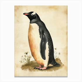 Adlie Penguin Zavodovski Island Vintage Botanical Painting 1 Canvas Print