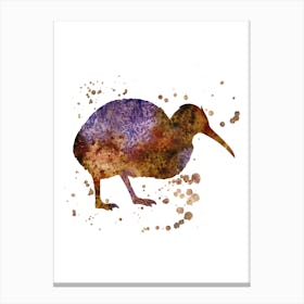 Kiwi Bird Watercolor Canvas Print
