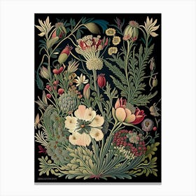 Queen Of The Prairie Floral 1 Botanical Vintage Poster Flower Canvas Print