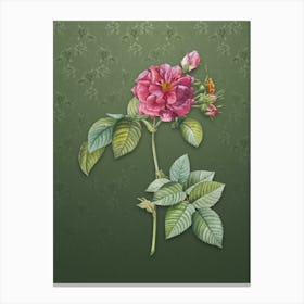 Vintage Pink Francfort Rose Botanical on Lunar Green Pattern n.0095 Canvas Print