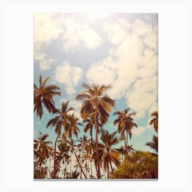 Palm Trees On The Beach 1 Canvas Print