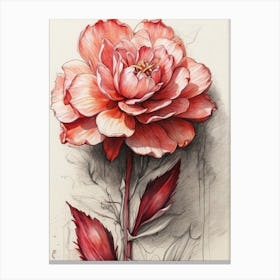 Flower 8 Canvas Print