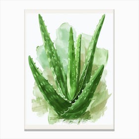 Aloe Vera Plant Minimalist Illustration 3 Canvas Print